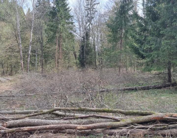Rekreačné pozemky na predaj pri Kováčovej