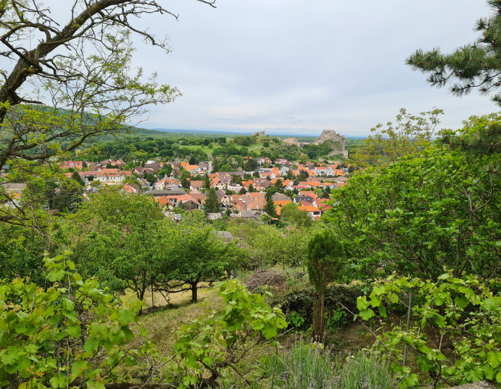 Predaj záhrady na Devíne